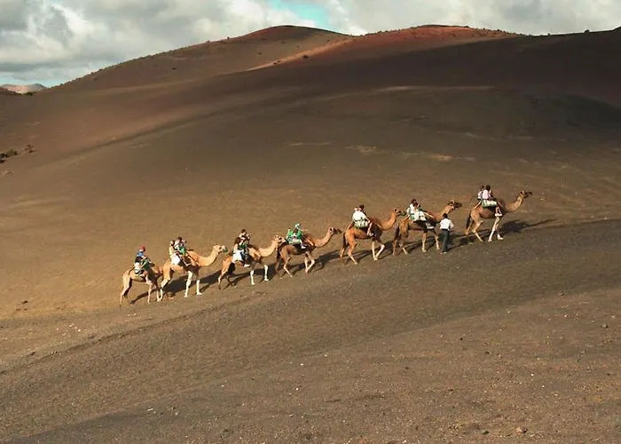 Calypso, Completo Con Vistas Al Mar Y A La Piscina En *