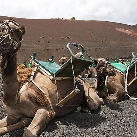 Apartamento Calypso, Completo Con Vistas Al Mar Y A La Piscina En *