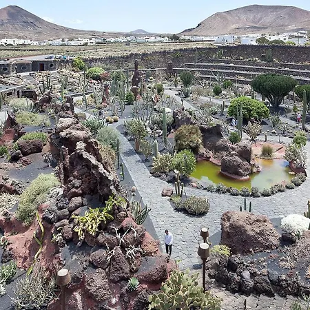 Calypso, Completo Con Vistas Al Mar Y A La Piscina En