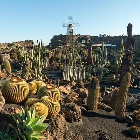 Calypso, Completo Con Vistas Al Mar Y A La Piscina En Costa Teguise