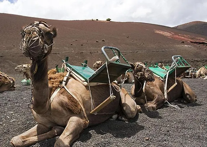 Apartman Calypso, Completo Con Vistas Al Mar Y A La Piscina En *