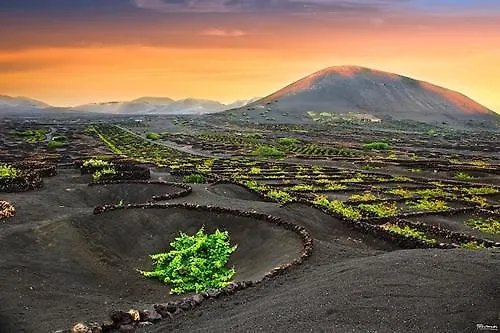 Calypso, Completo Con Vistas Al Mar Y A La Piscina En *
